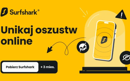 Jak oszuści dopasowują scenariusze do pór roku? Cykl kradzieży w sieci