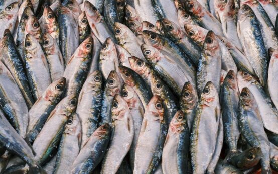 Omega-3 nie tylko w orzechach włoskich: Produkty, które zaskoczą cię zawartością kwasów tłuszczowych