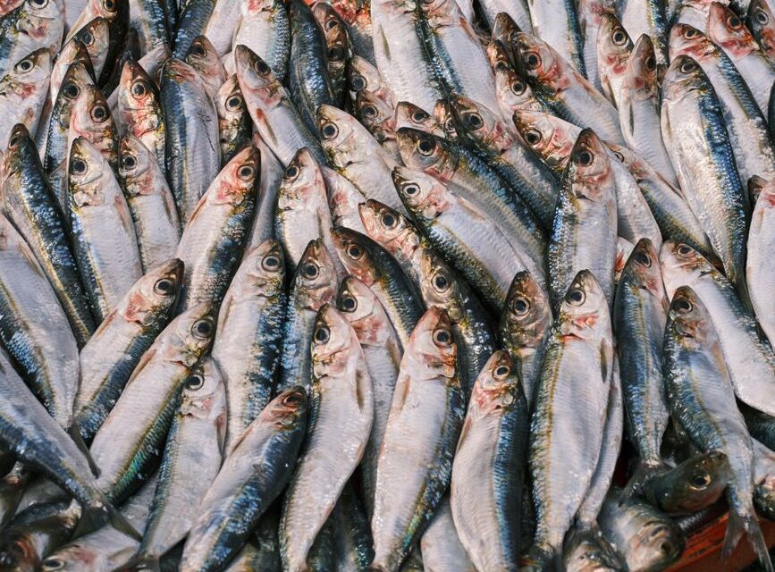 Omega-3 nie tylko w orzechach włoskich: Produkty, które zaskoczą cię zawartością kwasów tłuszczowych