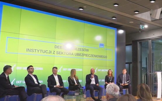 Polski rynek ubezpieczeń czeka fala konsolidacji. Allianz wskazuje na dojrzałość sektora
