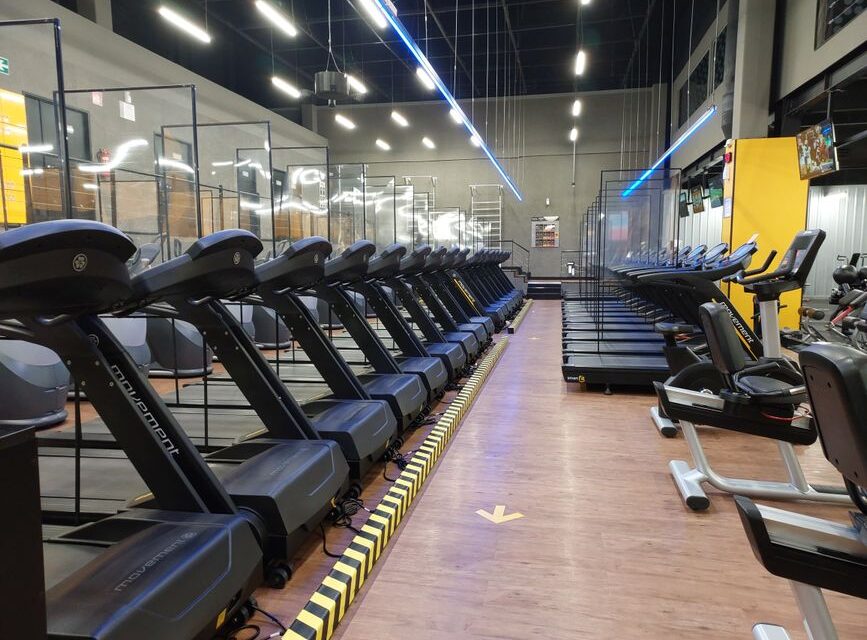 Trening siłowy czy cardio? Eksperci wyjaśniają optymalną kolejność ćwiczeń